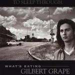 不一样的天空 What’s Eating Gilbert Grape