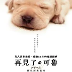 导盲犬小Q クイール